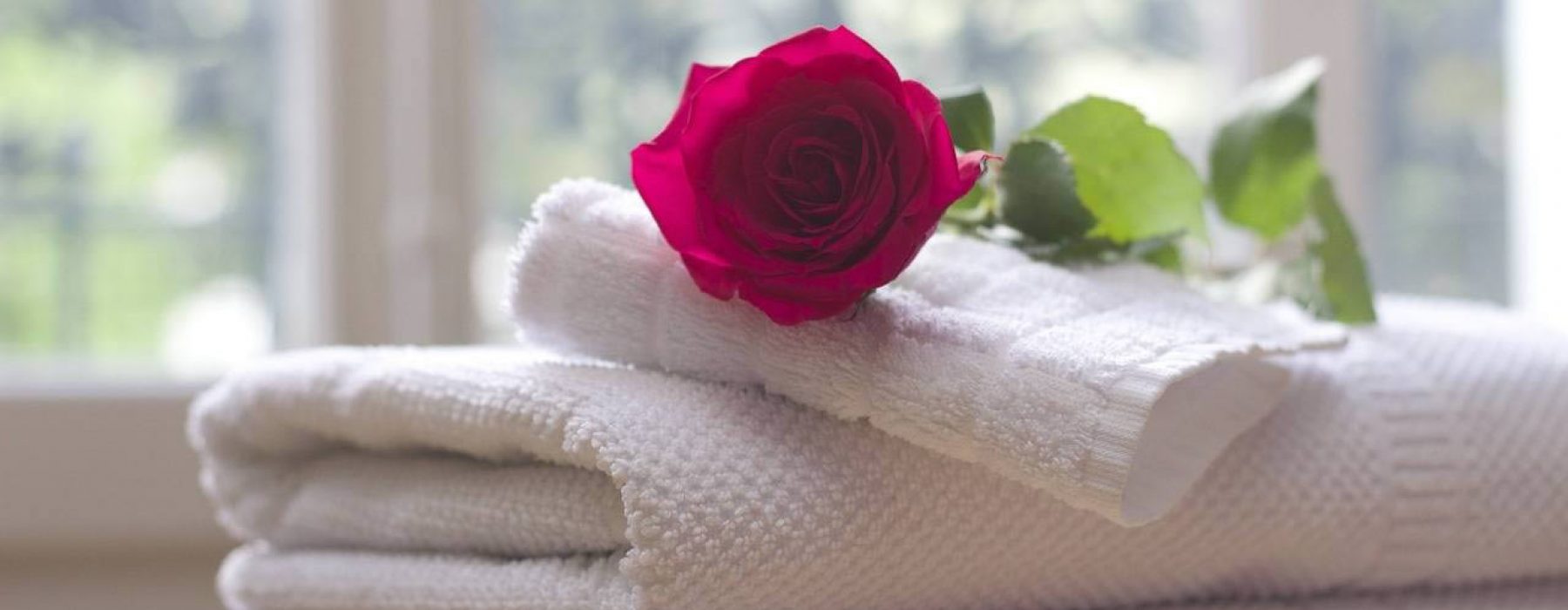 Hotel Guest Experience