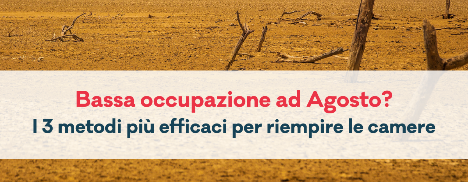 bassa occupazione ad agosto - 3 metodi per riempire le camere